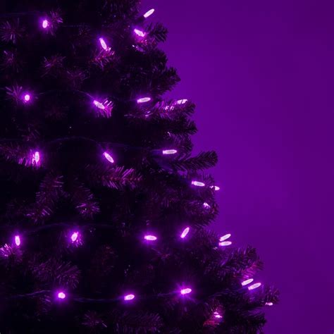 Maybe you would like to learn more about one of these? LED Christmas Lights - 70 M5 Purple LED Christmas Lights ...
