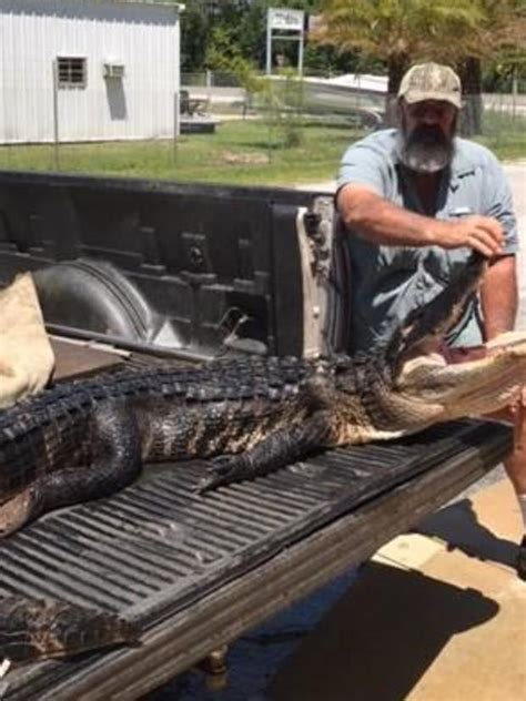 girl survives alligator bite in shallow lake water at florida park officials say cbs news