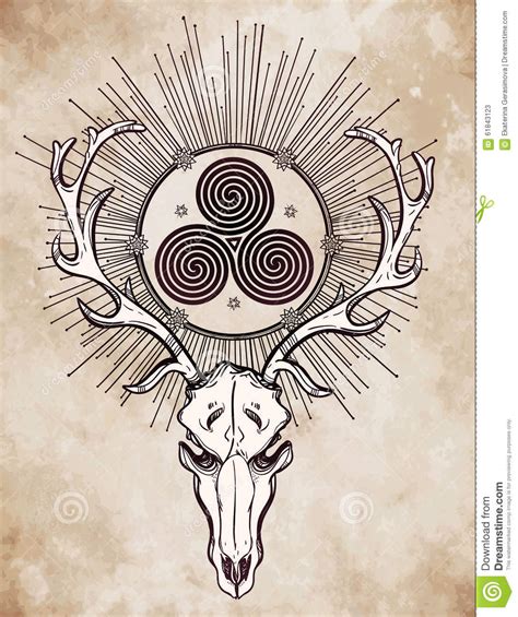 Deer Skull With Celtic Triskel. Stock Vector - Image: 61843123