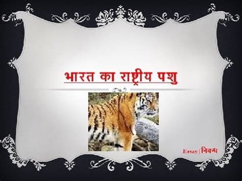 Excellent photography of birds in sikkim. Hindi Essay on 'National Animal of India' | 'भारत का ...