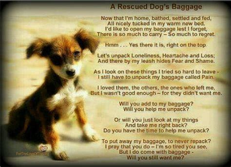 Dog Adoption Quotes Quotesgram