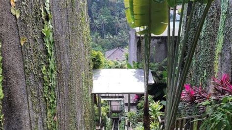 five killed as cable of instagram famous glass encased lift at ayuterra resort in bali snaps