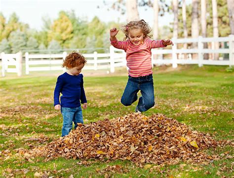 28300 Jump Into Leaves Stock Photos Pictures And Royalty Free Images