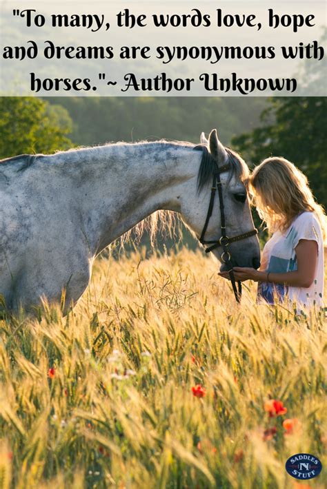 Whether you are an avid horseback rider. Pin by Saddles N' Stuff on Inspirational Horse Quotes ...