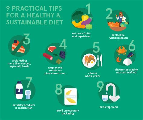 9 Practical Tips For A Healthy And Sustainable Diet Eufic