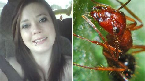 Fire Ants Kill Woman Day After Mothers Death