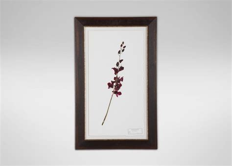 (5) Twitter | Botanical artwork, Framed artwork, Artwork