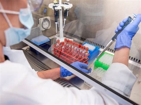 A vacina de oxford tem sido aguardada com grande expectativa. COVID-19: Nod to Serum Institute of India for phase 2, 3 ...