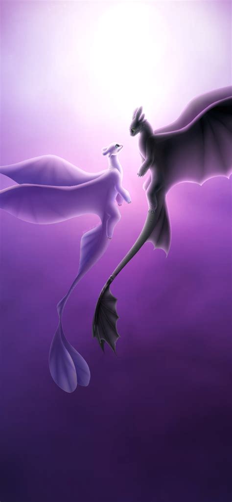 1125x2436 Toothless And Light Fury Romantic Love Iphone Xsiphone 10