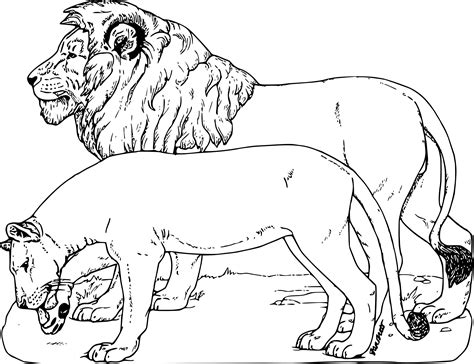 Coloriages à Imprimer Animaux Carnivores Numéro 3ca61394