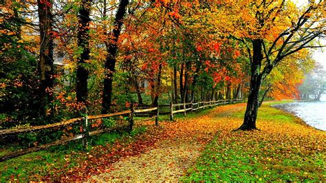 1080p Free Download Autumn House Fence Pathway Fall Pathways Trees