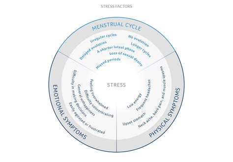 Stress And Cycle How Stress Affects The Cycle