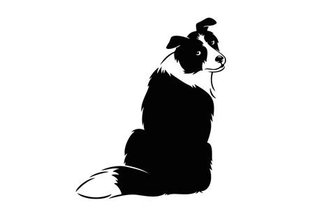 Border Collie Vector Illustration By Well Bred Design On