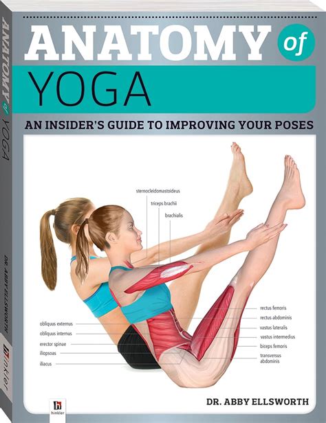 anatomy of yoga books health fitness lifestyle adults hinkler