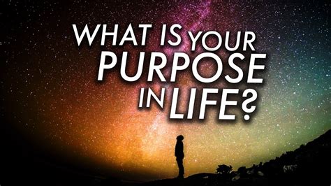 Nmm What Is Your Purpose In Life Youtube