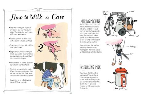 How To Milk A Cow