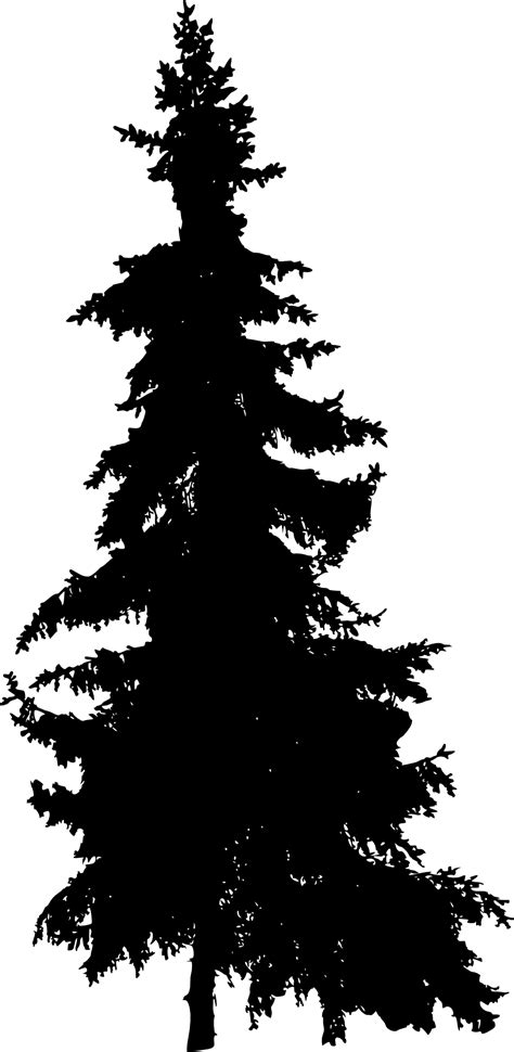 Tree Silhouettes Pine Tree Vector Png Free Transparent Png Clipart