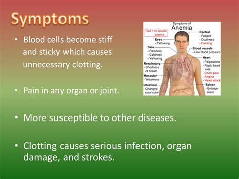Ppt A Blood Disorder Powerpoint Presentation Free Download Id2347836