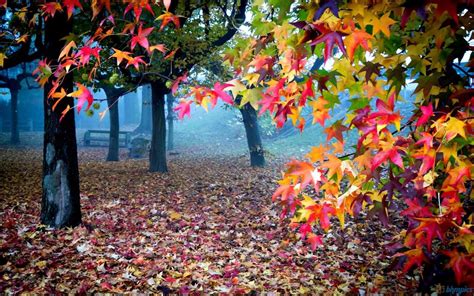 Check out some our favourites below. Beautiful Colorful Nature - XciteFun.net