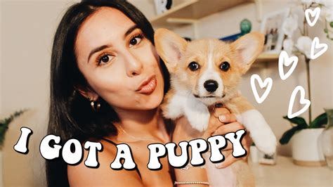 I Got A Puppy Bringing My New Corgi Puppy Home For The 1st Time Vlog