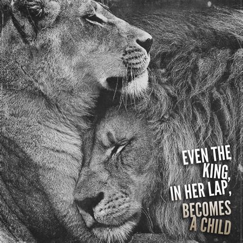 She mates with her lion and he thinks the moment is. Only to her, the one and only ! | Lion quotes, My king quotes, Lioness quotes