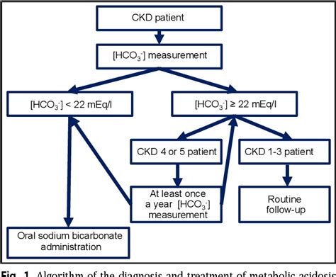 Figure 1 From Diagnosis And Treatment Of Metabolic Acidosis In Patients