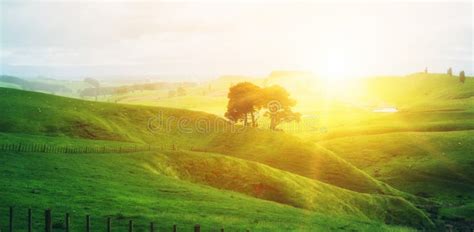 Morning Sunrise At Green Grass Farm On The Hill Stock Photo Image Of