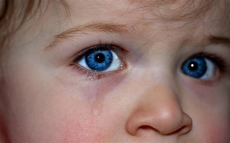 What Causes Crossed Eyes Washington Vision Therapy Center