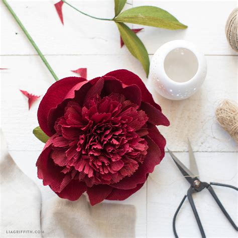 One of the top true red hybrid peonies in the country. Red_Charm_Peony.jpg - Felt Paper Scissors