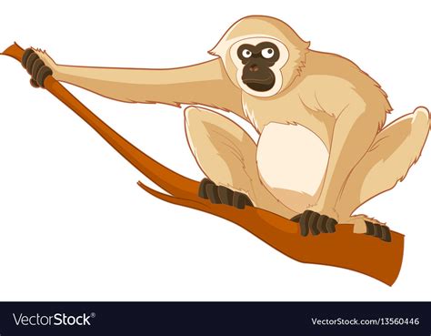 Cartoon Smiling Gibbon Royalty Free Vector Image