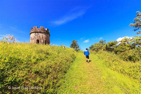 Conoce A Puerto Rico Bosque Toro Negro