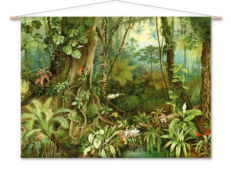 Tropisch Regenwoud Wandkleed Naturalis Unlimited Behang