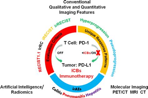 Imaging Based Biomarkers For Predicting And Evaluating Cancer