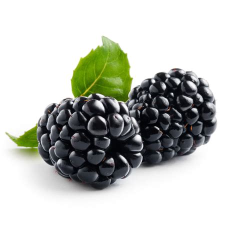 Fruit Layer - Blackberry