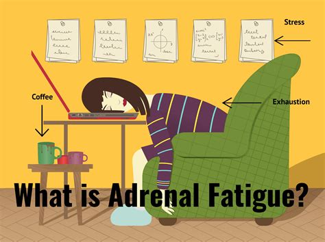 What Is Adrenal Fatigue Premier Formulas