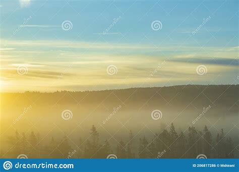 Morning Landscape In Foggy Forest Stock Photo Image Of Mist Water