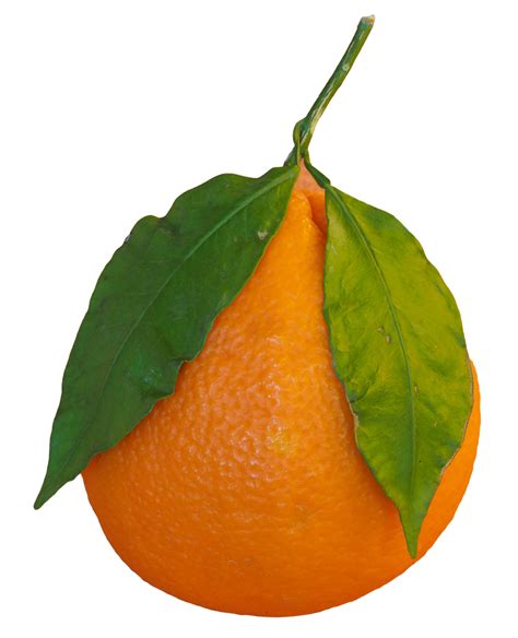Tangerine Fruit Transparent Png 23655358 Png