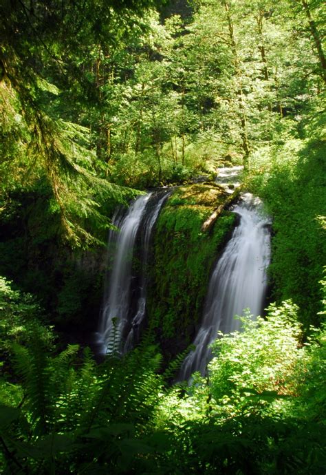 Elowah Falls Hike Outdoor Project