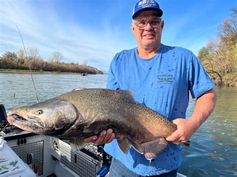 Sacramento River Fish Report Sacramento River Salmon Fishing On The