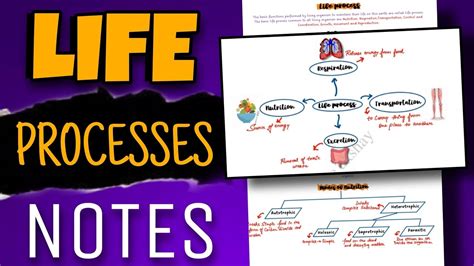 Life Processes Notes For Class Session Approved By Cbse