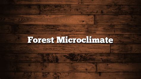 Forest Microclimate