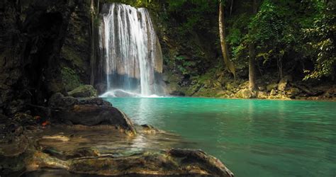 Scenic Waterfall In Thailand Tropical Forest Beautiful Nature Loopable