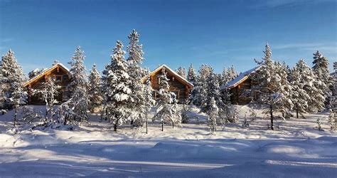 Muotka Wilderness Hotel Igloos And Cabins Lapland North