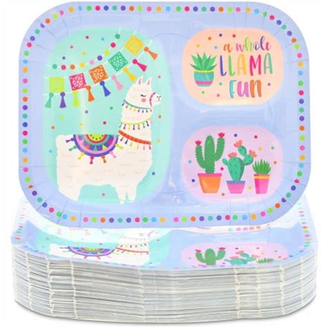 Llama Birthday Party Supplies Paper Plates 925 X 7 In 48 Pack