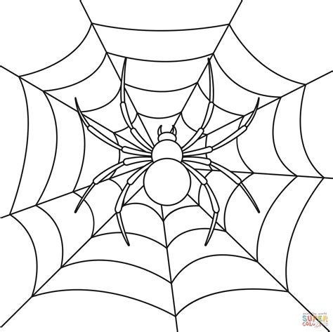 Spider On Web Coloring Page Free Printable Coloring Pages