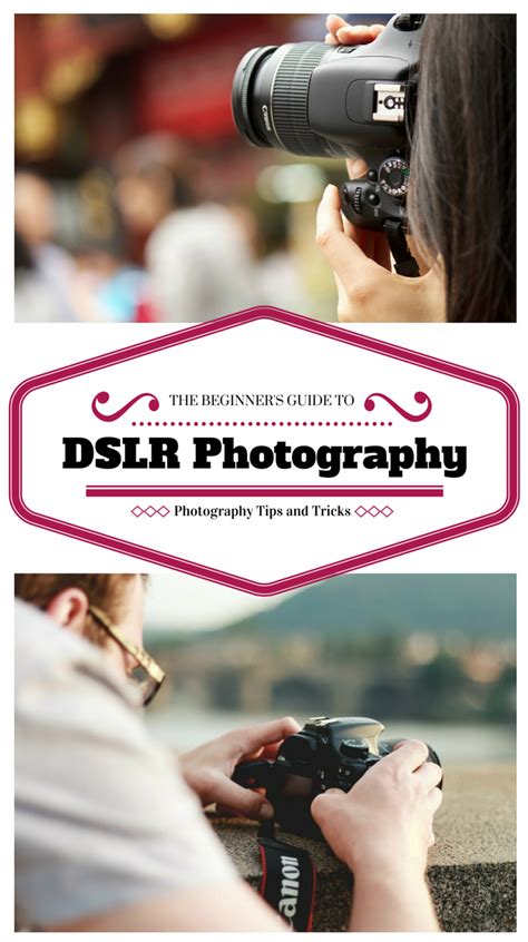 The Beginners Guide To Dslr Photography Photography Tips Improve