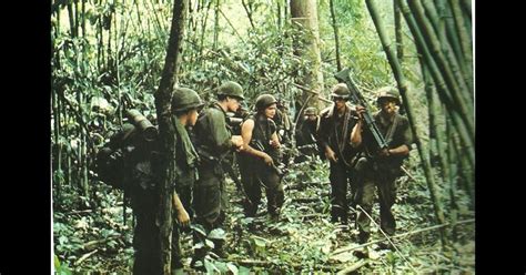 Jungle Warfare 1965 68 In The Vietnam War