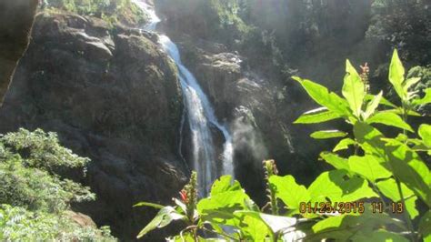 Catarata Bijagual Jaco Costa Rica Top Tips Before You Go With