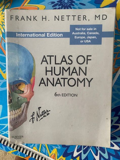 Netters Atlas Of Human Anatomy 6th International Edition Hobbies