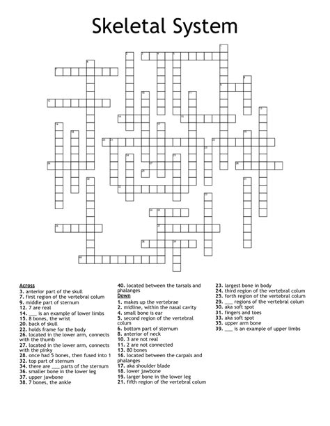 Bone Anatomy Crossword Bone Anatomy Crossword Anatomy And